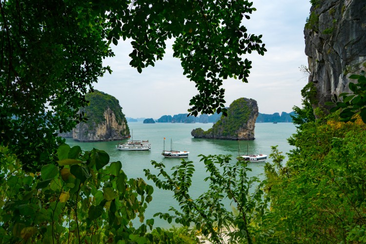 Step-by-step-guide-to-choose-a-perfect-Halong-bay-cruises