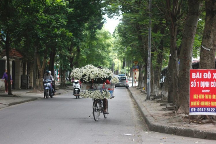 Everything you need to know about Hanoi weather